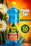 DESINFETANTE PINHO SOL MANDACARU 1 LITRO